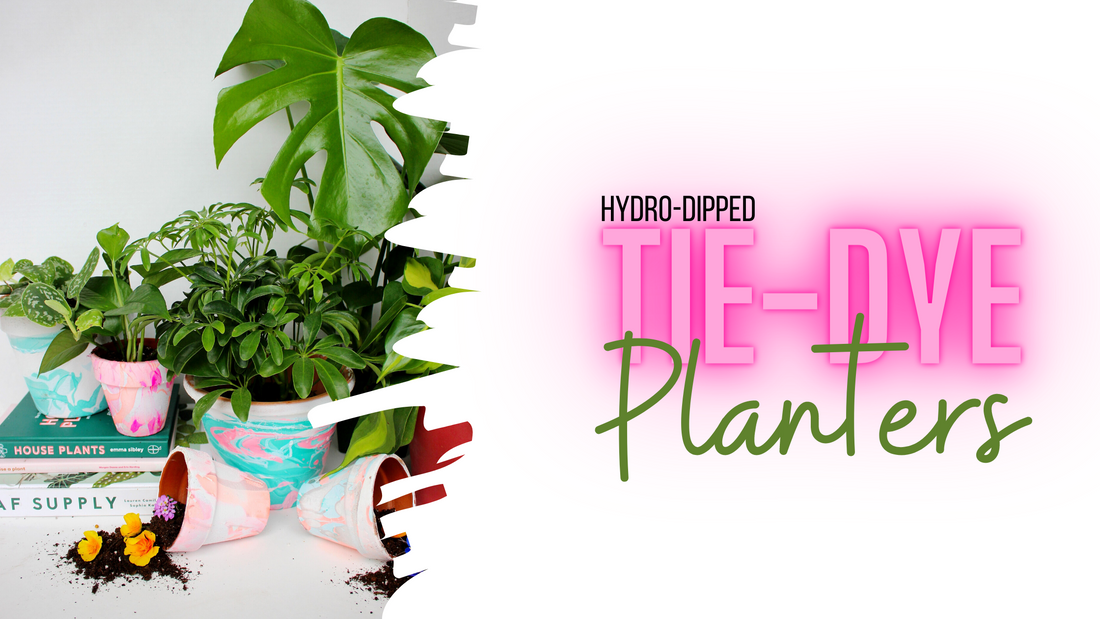 Tie Dye Planters