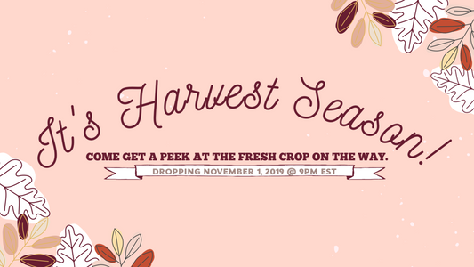 A new crop of cute and Cozy on the Way!