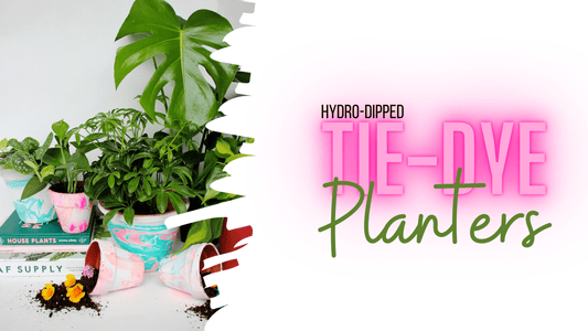 Tie Dye Planters - The Wishing Elephant