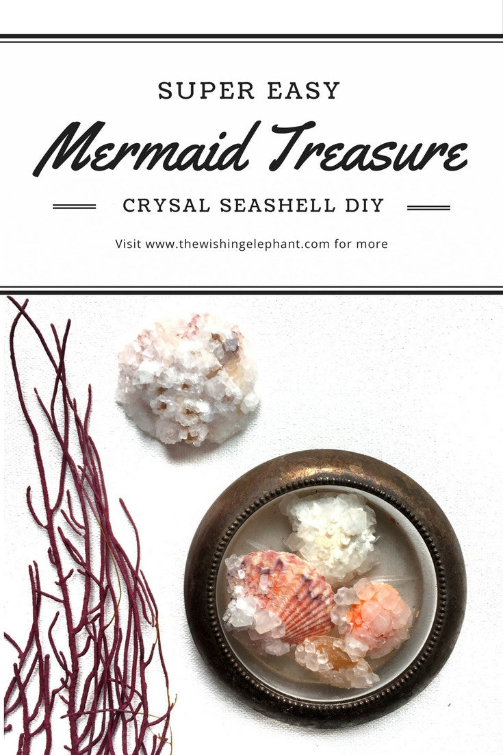 Mermaid Treasure // Crystal Seashells