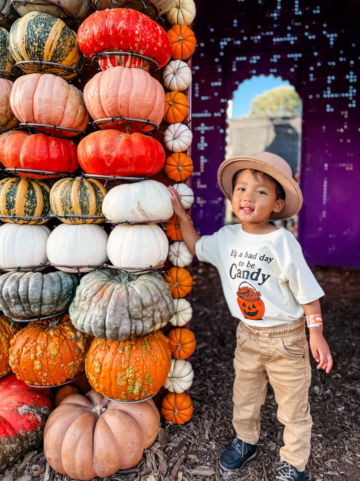 CANDY It's a Bad Day to Be Candy Tee Shirt - The Wishing Elephant