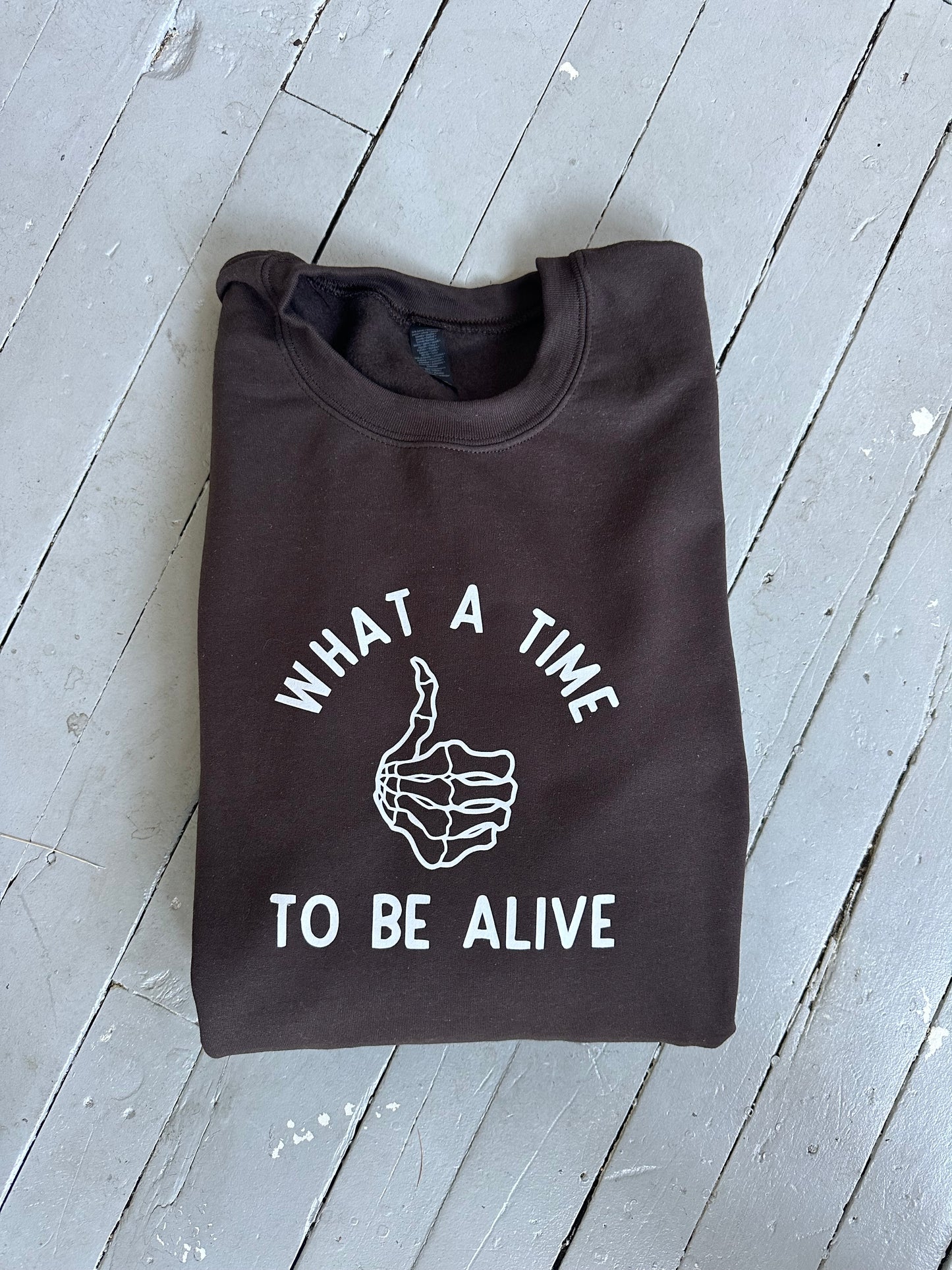 ADULT pullover, What a Time to be ALIVE