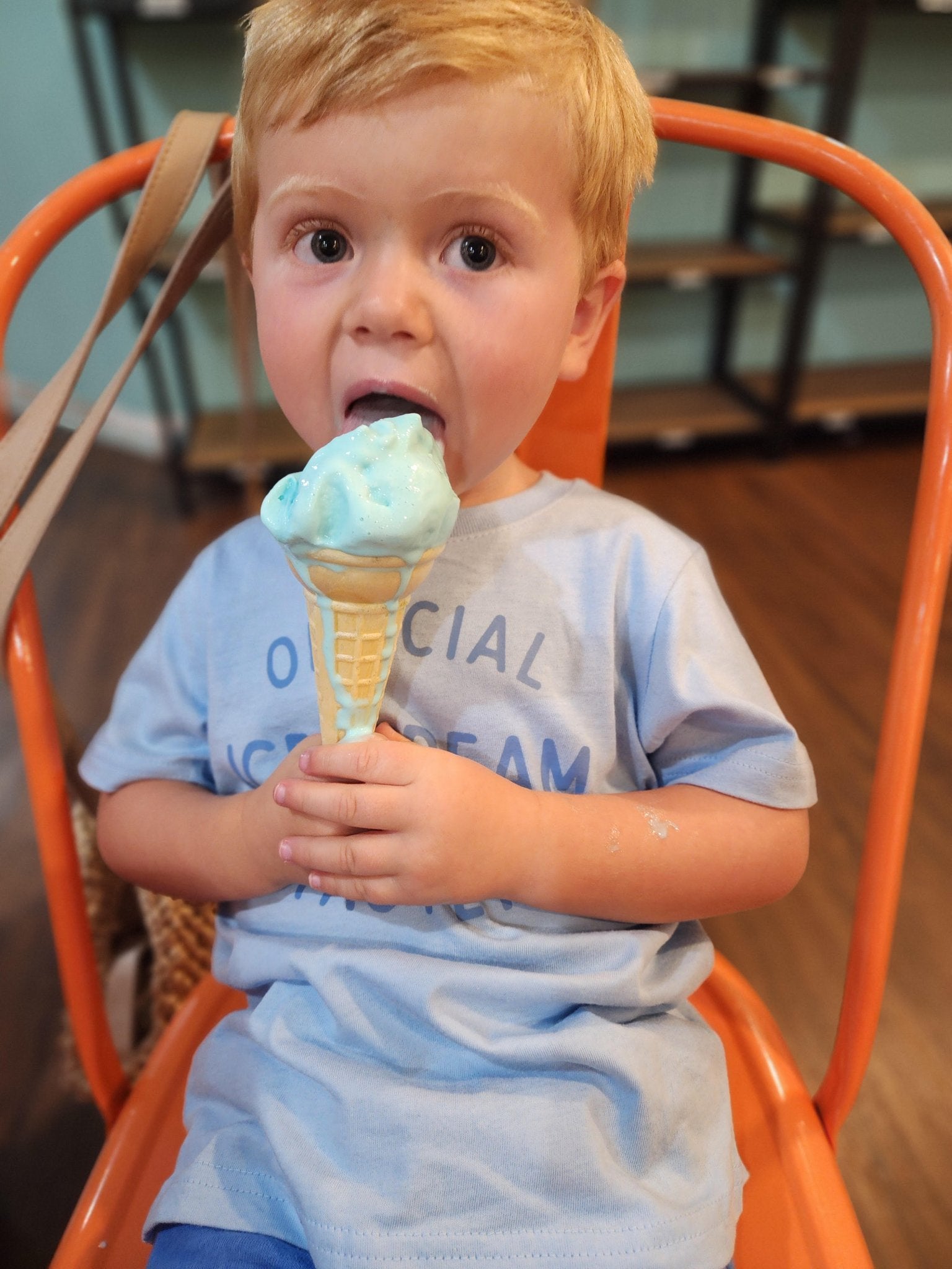 Official Ice Cream Taster Kids Graphic Tee, Cotton Summer T-Shirt - The Wishing Elephant