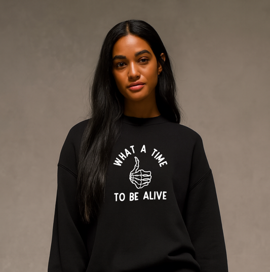 ADULT pullover, What a Time to be ALIVE
