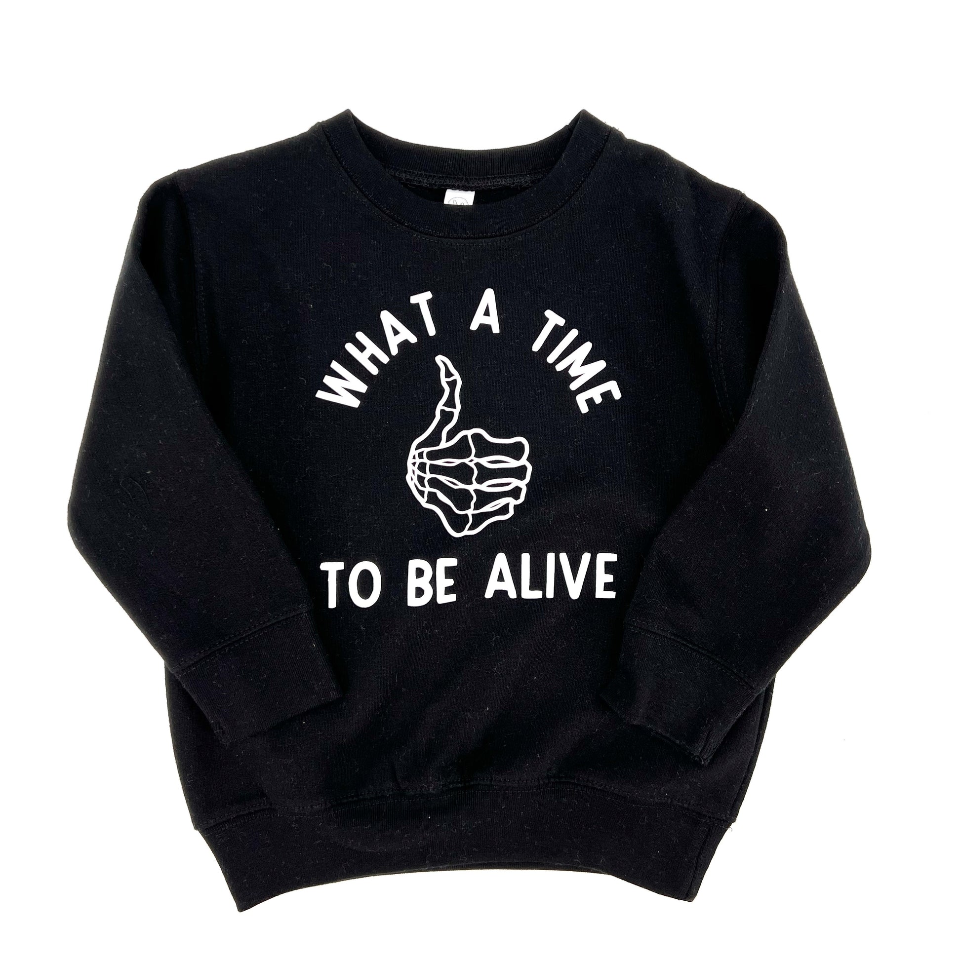 PREORDER ADULT pullover, What a Time to be ALIVE PREORDER ADULT pullover, What a Time to be ALIVE The Wishing Elephant tee The Wishing Elephant